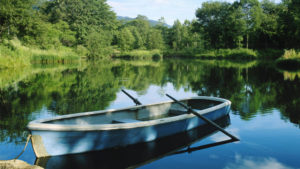 A retired person's boat on the shore of a lake in Southwest Missouri