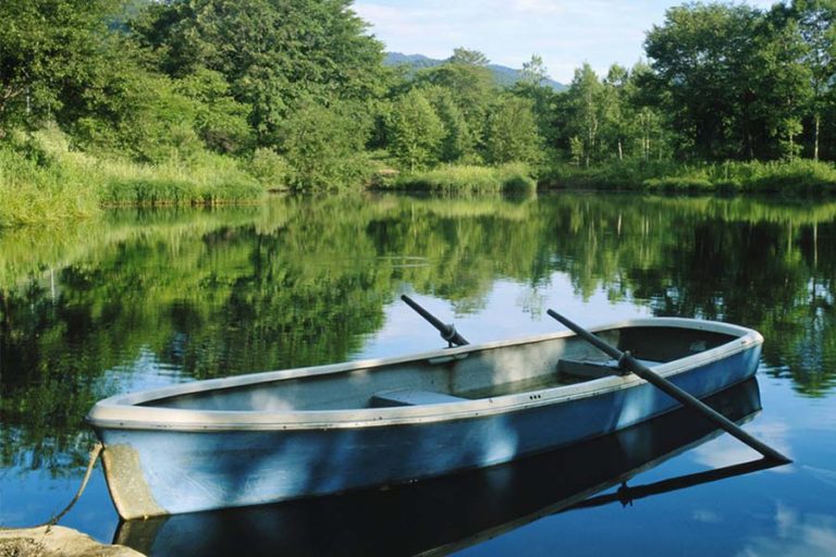 A retired person's boat on the shore of a lake in Southwest Missouri