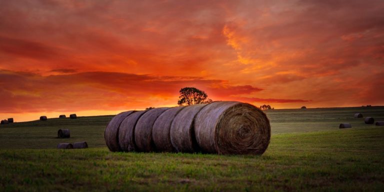 Farmer Lawyer Rancher Attorney