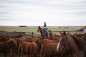 Farm estate planning